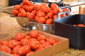 Washing Tomatoes and Sorting them. @coreylatislaw.com